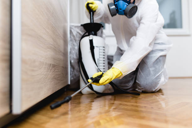 Seminole Manor, FL Pest Control Company
