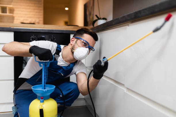 Best Pest Inspection Near Me  in Seminole Manor, FL