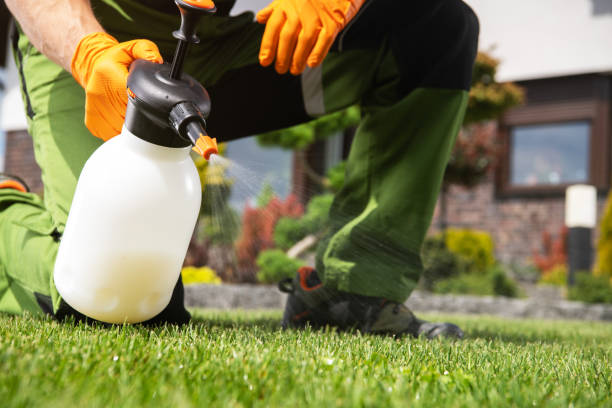 Best Bed Bug Extermination  in Seminole Manor, FL