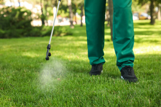 Pest Prevention Services in Seminole Manor, FL