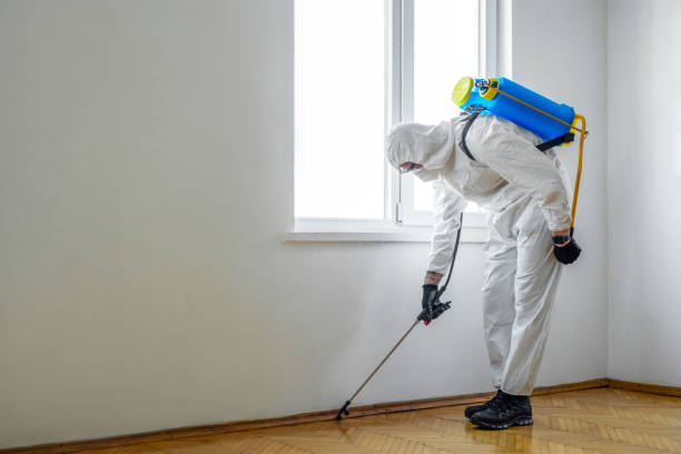 Best Affordable Pest Control Services  in Seminole Manor, FL
