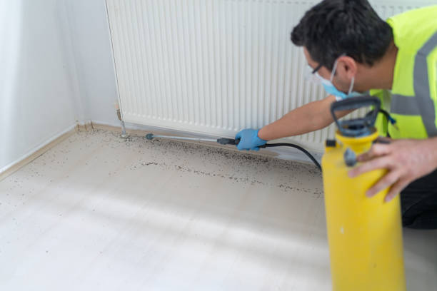 Best Emergency Pest Control  in Seminole Manor, FL