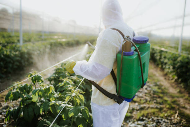 Best Commercial Pest Control Services  in Seminole Manor, FL